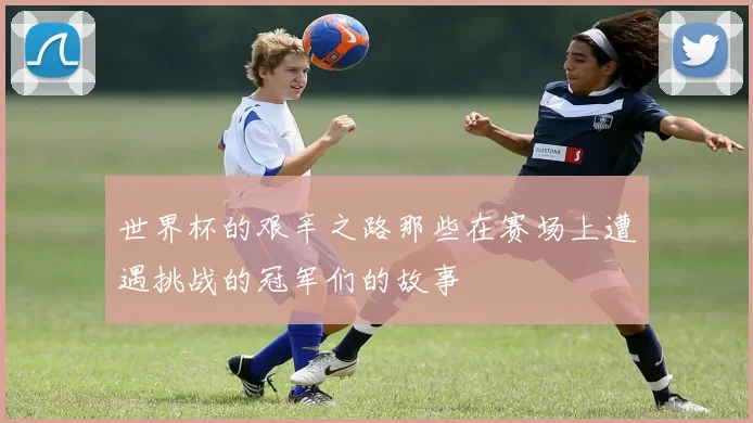 世界杯的艰辛之路那些在赛场上遭遇挑战的冠军们的故事